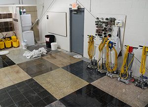 LIVE eLearning Granite Floor Restoration